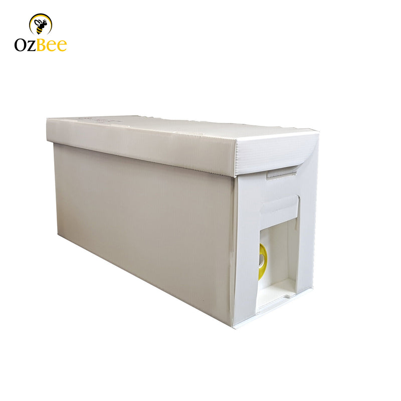 3 X 5 Frame Full Depth Corflute NUC Box Flatpack