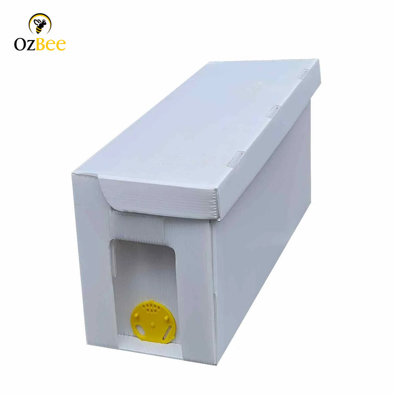 3 X 5 Frame Full Depth Corflute NUC Box Flatpack