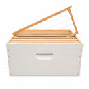 10 Frame FD Single Storey Beehive – Assembled & Painted with Frame Options & Mesh Bottom Board - Ozee beekeeping Supplies